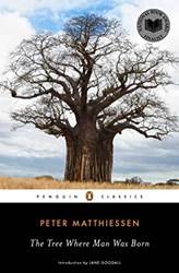Tree Where Man Was Born The  Penguin C