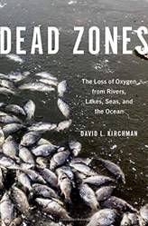 DEAD ZONES