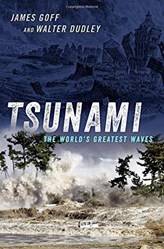 TSUNAMI