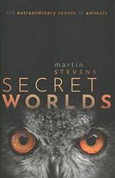 SECRET WORLDS