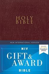 Niv Gift And Award Bible LeatheR-Look Burgundy Red Lette