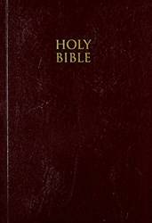 Niv Compact Text Bible - Burgundy