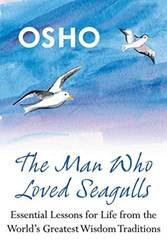 The Man Who Loved Seagulls