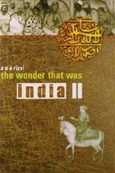 The Wonder That Was India Volume 2