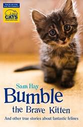 Bumble The Brave Kitten In Association With Cats Protection