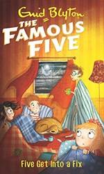 Famous Five 17 Five Get Into A Fix (standard)