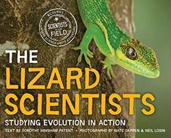 Lizard Scientists The