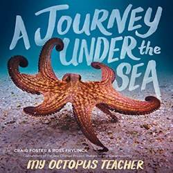 Journey Under The Sea A