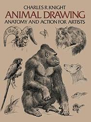 Animal Drawing Anatomy And Action For Artists