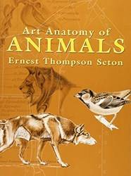 Art Anatomy Of Animals