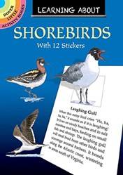 Learning About Shore Birds