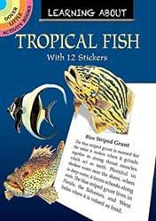 Learning About Tropical Fish