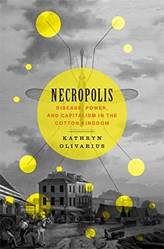 Necropolis Disease Power And Capitalism In The Cotton Kin