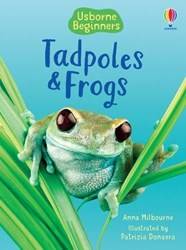Tadpoles And Frogs