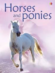 Beginners Horses And Ponies