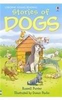 Stories Of Dogs