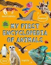 My First Encyclopedia Of Animals