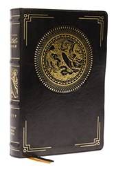 Nrsvce Illustrated Catholic Bible Leathersoft Black Comf