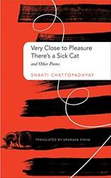 Very Close To Pleasure Theres A Sick Cat And Other Poems