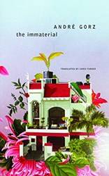 The Immaterial