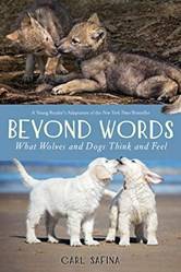 Beyond Words What Wolves And Dogs