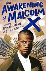 The Awakening Of Malcolm X  A Novel