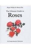 The Ultimate Guide To Roses A Comprehensive Selection