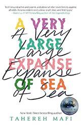 A Very Large Expanse Of Sea