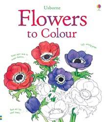 Flowers To Colour