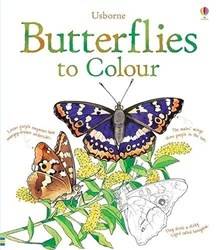 Butterflies To Colour