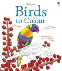 Birds To Colour