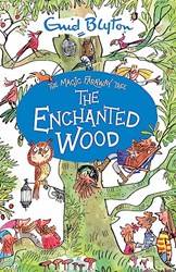 The Magic Faraway Tree The Enchanted Wood