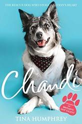 Chandi The Rescue Dog Who Stole A Nations Heart