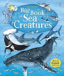 Big Book Of Sea Creatures