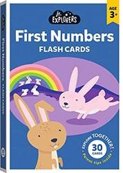 Junior Explorers Large Flashcards First Numbers