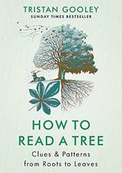 How To Read A Tree Clues & Patterns From Roots To Leaves