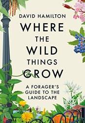 Where The Wild Things Grow A Foragers Guide To The Landscape