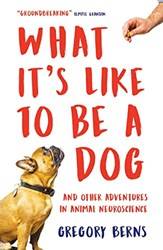 What Its Like To Be A Dog
