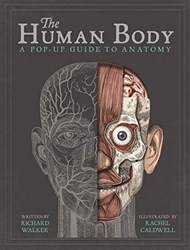 Human Body The
