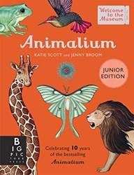 Animalium (junior Edition)