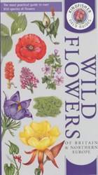 Fld Gde Wild Flowers Of Brit & Erpe