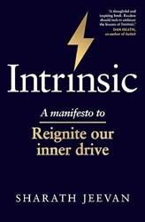 Intrinsic A Manifesto To Reignite Our Inner Drive