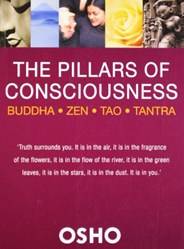 The Pillars Of Consciousness