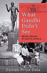What Gandhi Didnt See Being Indian In South Africa