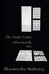 The Gods Came Afterwards Poems